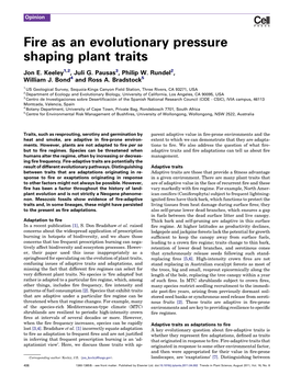 Fire As an Evolutionary Pressure Shaping Plant Traits