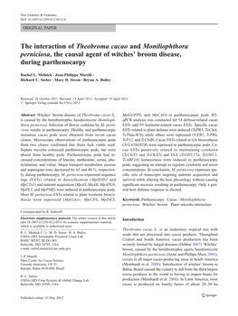 The Interaction of Theobroma Cacao and Moniliophthora Perniciosa, the Causal Agent of Witches’ Broom Disease, During Parthenocarpy