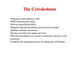 The Cytoskeleton