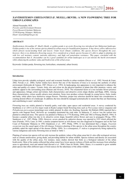 Xanthostemon Chrysanthus (F. Muell.) Benth.: a New Flowering Tree for Urban Landscapes