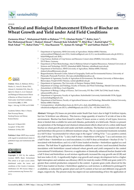 Chemical and Biological Enhancement Effects of Biochar on Wheat Growth and Yield Under Arid Field Conditions