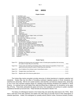 An Overview of the Hudson Bay Marine Ecosystem