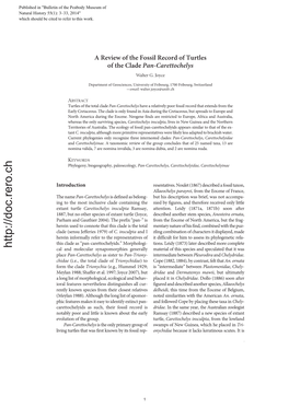 A Review of the Fossil Record of Turtles of the Clade Pan-Carettochelys