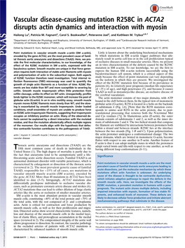 Vascular Disease-Causing Mutation R258C in ACTA2 Disrupts Actin Dynamics and Interaction with Myosin