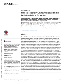 Hairless Streaks in Cattle Implicate TSR2 in Early Hair Follicle