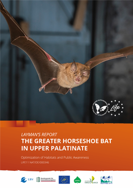 The Greater Horseshoe Bat in Upper Palatinate