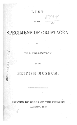 Specimens 0E Crustacea