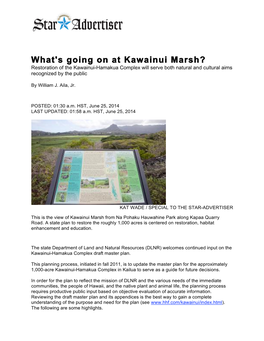 What 'S Going on at Kawainui Marsh?