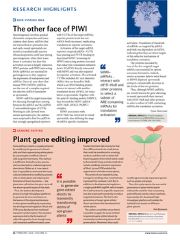 The Other Face of Piwi Plant Gene Editing Improved