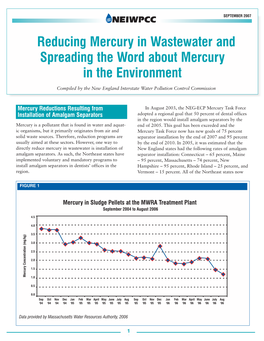 Reducing Mercury in Wastewater and Spreading the Word About Mercury in the Environment