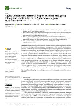 Highly Conserved C-Terminal Region of Indian Hedgehog N-Fragment Contributes to Its Auto-Processing and Multimer Formation