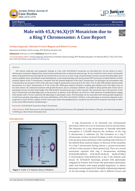 Male with 45,X/46,X(R)Y Mosaicism Due to a Ring Y Chromosome: a Case Report