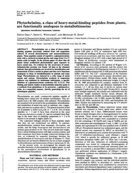 Phytochelatins, a Class of Heavy-Metal-Binding Peptides From