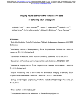 Imaging Neural Activity in the Ventral Nerve Cord of Behaving Adult