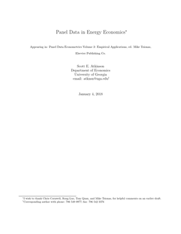 Panel Data in Energy Economics∗