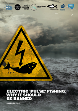 Electric 'Pulse' Fishing: Why It Should Be Banned January 2018 Electric 'Pulse' Fishing: Why It Should Be Banned | January 2018 2