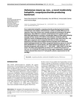 Halomonas Maura Sp. Nov., a Novel Moderately Halophilic, Exopolysaccharide-Producing Bacterium