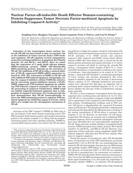 Nuclear Factor- B-Inducible Death Effector Domain-Containing Protein