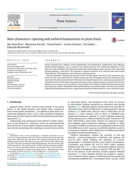 Non-Climacteric Ripening and Sorbitol Homeostasis in Plum Fruits