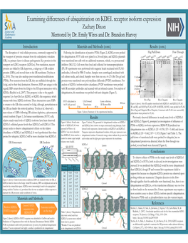 Examining Differences of Ubiquitination on KDEL Receptor Isoform Expression Zachary Dixon Mentored by Dr