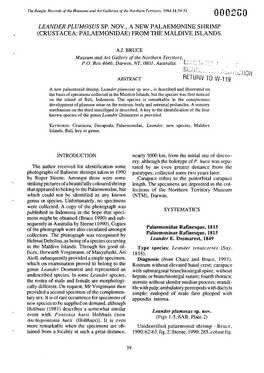 0002G0 Leander Plumosus Sp. Nov., a New Palaemonine Shrimp (Crustacea: Palaemonidae) from the Maldive Islands