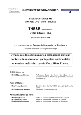 Dynamique Des Communautés Biologiques Dans Un Contexte De Restauration Par Injection Sédimentaire Et Érosion Maîtrisée : Cas Du Vieux Rhin, France