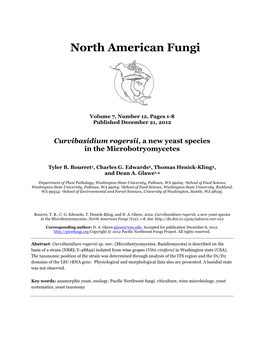 Curvibasidium Rogersii, a New Yeast Species in the Microbotryomycetes