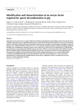 Monoamine Oxidase a Is Highly Expressed by the Human Corpus Luteum of Pregnancy