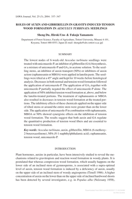 Roles of Auxin and Gibberellin in Gravity-Induced Tension Wood Formation in Aesculus Turbinata Seedlings