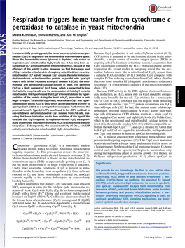 Respiration Triggers Heme Transfer from Cytochrome C Peroxidase to Catalase in Yeast Mitochondria