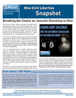 Ohio Civil Liberties Snapshot