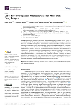 Label-Free Multiphoton Microscopy: Much More Than Fancy Images