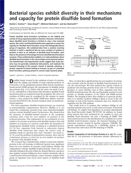 Bacterial Species Exhibit Diversity in Their Mechanisms and Capacity for Protein Disulfide Bond Formation