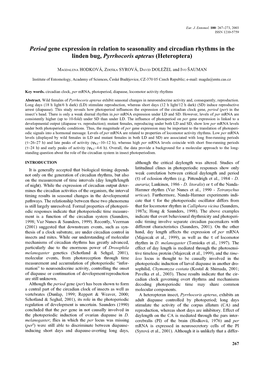 Period Gene Expression in Relation to Seasonality and Circadian Rhythms in the Linden Bug, Pyrrhocoris Apterus