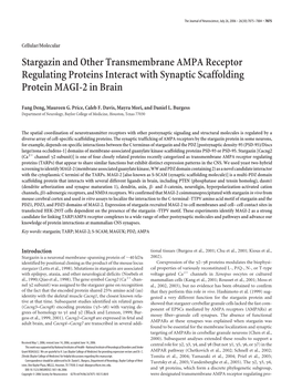 Stargazin and Other Transmembrane AMPA Receptor Regulating Proteins Interact with Synaptic Scaffolding Protein MAGI-2 in Brain