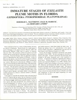 Immature Stages of Exelastis Plume Moths in Florida (Lepidoptera: Pterophoridae: Platyptiliinae)