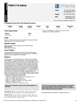 PSMA5 (T14) Antibody A