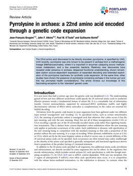 A 22Nd Amino Acid Encoded Through a Genetic Code Expansion