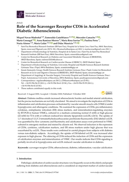 Role of the Scavenger Receptor CD36 in Accelerated Diabetic Atherosclerosis