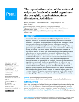 The Reproductive System of the Male and Oviparous Female of a Model Organism—The Pea Aphid, Acyrthosiphon Pisum (Hemiptera, Aphididae)