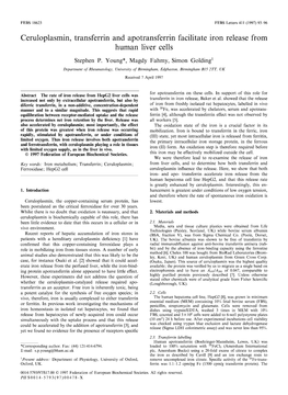 Ceruloplasmin, Transferrin and Apotransferrin Facilitate Iron Release from Human Liver Cells