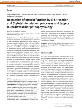 Regulation of Protein Function by S-Nitrosation and S-Glutathionylation: Processes and Targets in Cardiovascular Pathophysiology