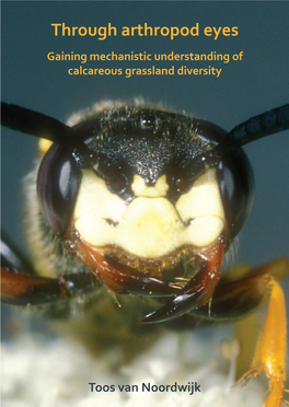 Through Arthropod Eyes Gaining Mechanistic Understanding of Calcareous Grassland Diversity