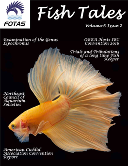 FOTAS Fish Tales 06.2