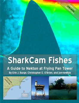 Sharkcam Fishes