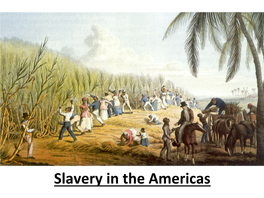 5.1 Slavery in the Americas