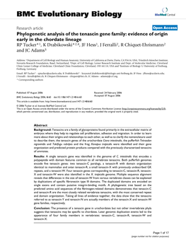 Phylogenetic Analysis of the Tenascin Gene Family: Evidence of Origin