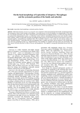 Coleoptera: Myxophaga) and the Systematic Position of the Family and Suborder