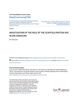 INVESTIGATION of the ROLE of the SCAFFOLD PROTEIN SHC in ERK SIGNALING Kin Man Suen