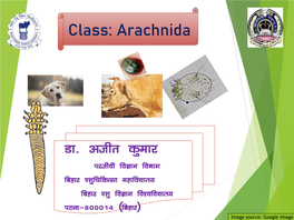 Class: Arachnida